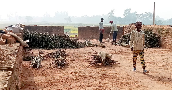 মহাদেবপুরে ইটভাটায় প্রকাশ্যে পোড়ানো হচ্ছে কাঠ, নীরব প্রশাসন